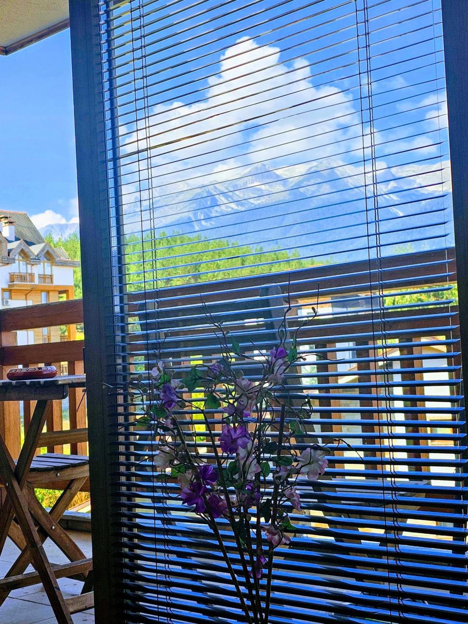 Emerald Buddha Apartment Bansko Exteriér fotografie