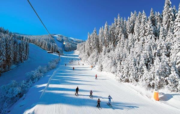 Emerald Buddha Apartment Bansko Exteriér fotografie